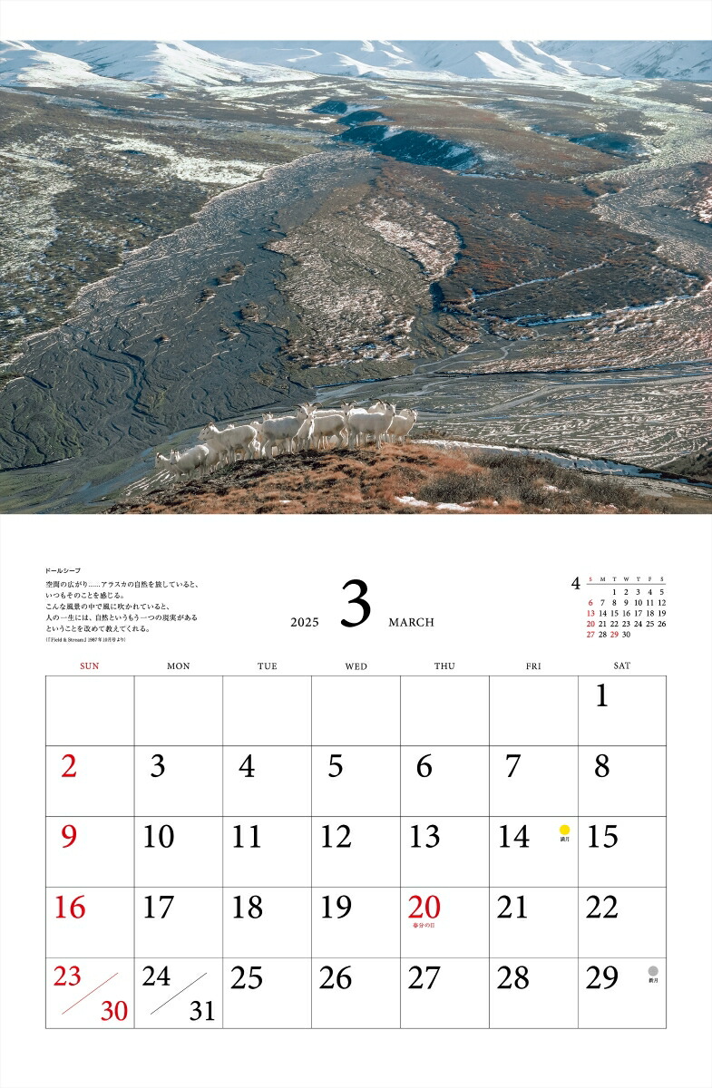 ƻץ٥ȥ쥯̤ưʪ2025ˡʡΥϡ