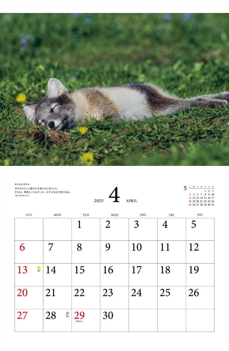 ƻץ٥ȥ쥯̤ưʪ2025ˡʡΥϡ