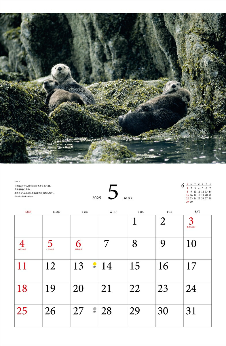 ƻץ٥ȥ쥯̤ưʪ2025ˡʡΥϡ