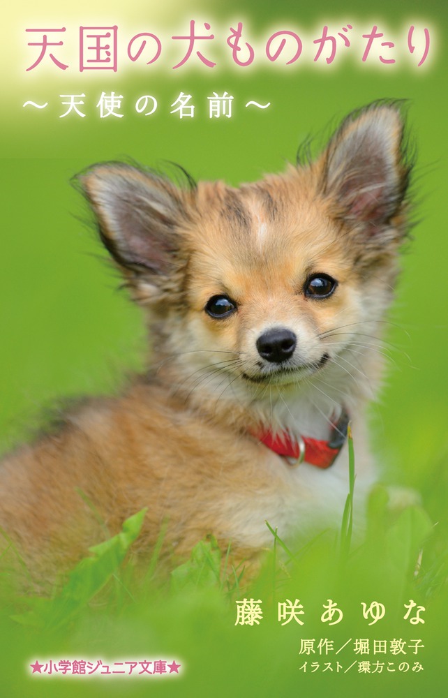 楽天ブックス 天国の犬ものがたり 天使の名前 藤咲 あゆな 本