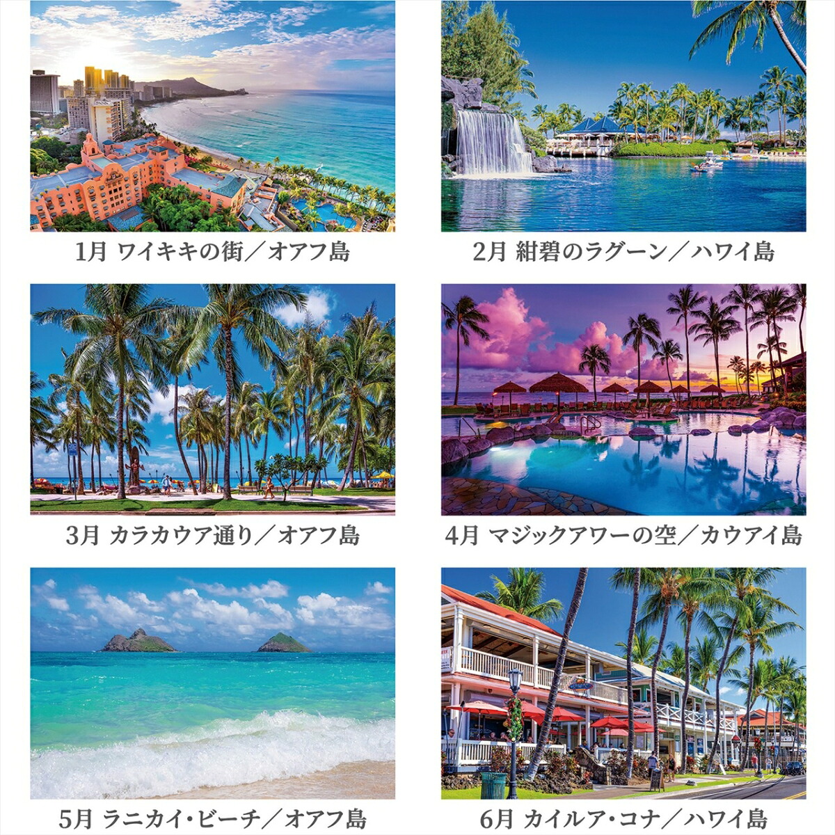 『ハワイAlohaStory』2026カレンダー卓上風景【両面仕様144×182】（写真工房カレンダー）