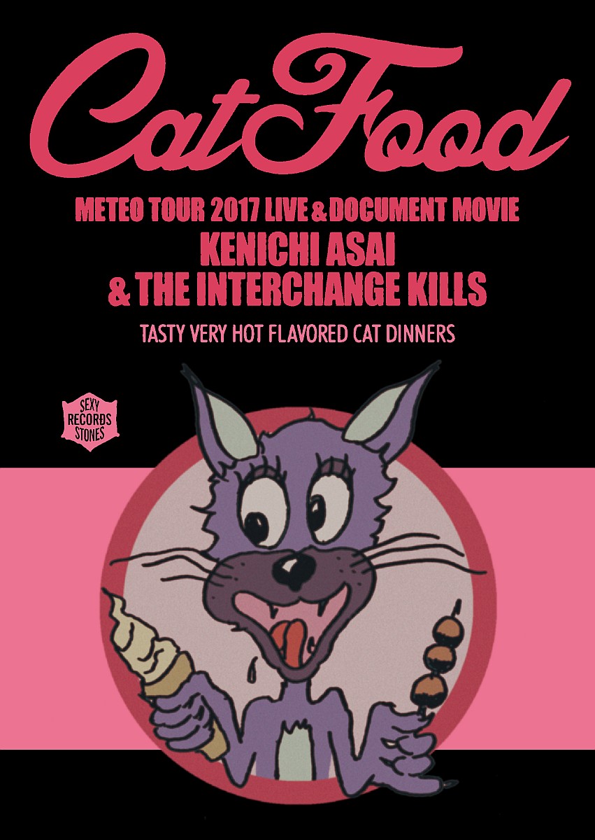 楽天ブックス: METEO TOUR 2017 LIVE ＆ DOCUMENT MOVIE『CAT