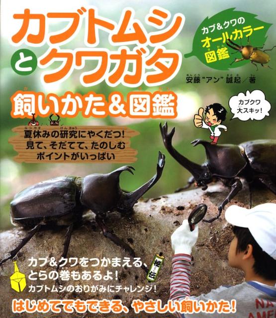 楽天ブックス: カブトムシとクワガタ飼いかた＆図鑑 - カブ