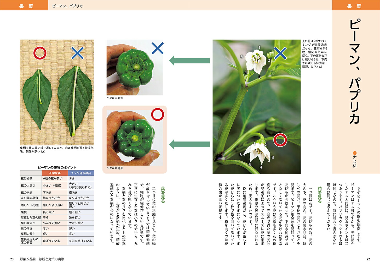 楽天ブックス おいしい野菜の生育と診断 高橋広樹 本 楽天ブックス おいしい野菜の生育と診断 高橋広樹 本