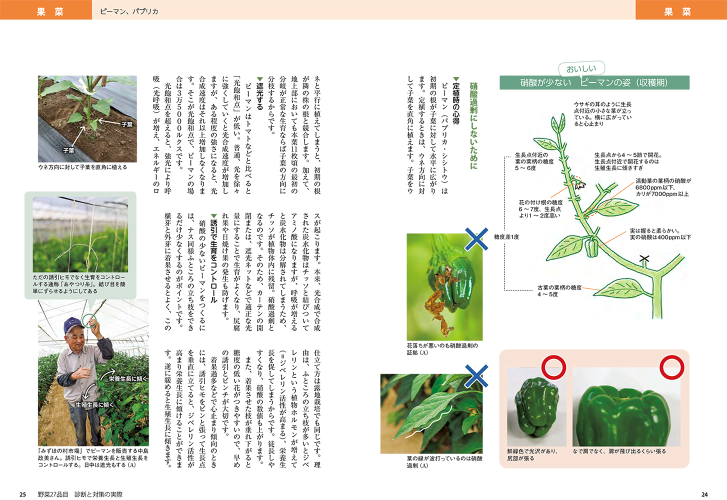 楽天ブックス おいしい野菜の生育と診断 高橋広樹 本