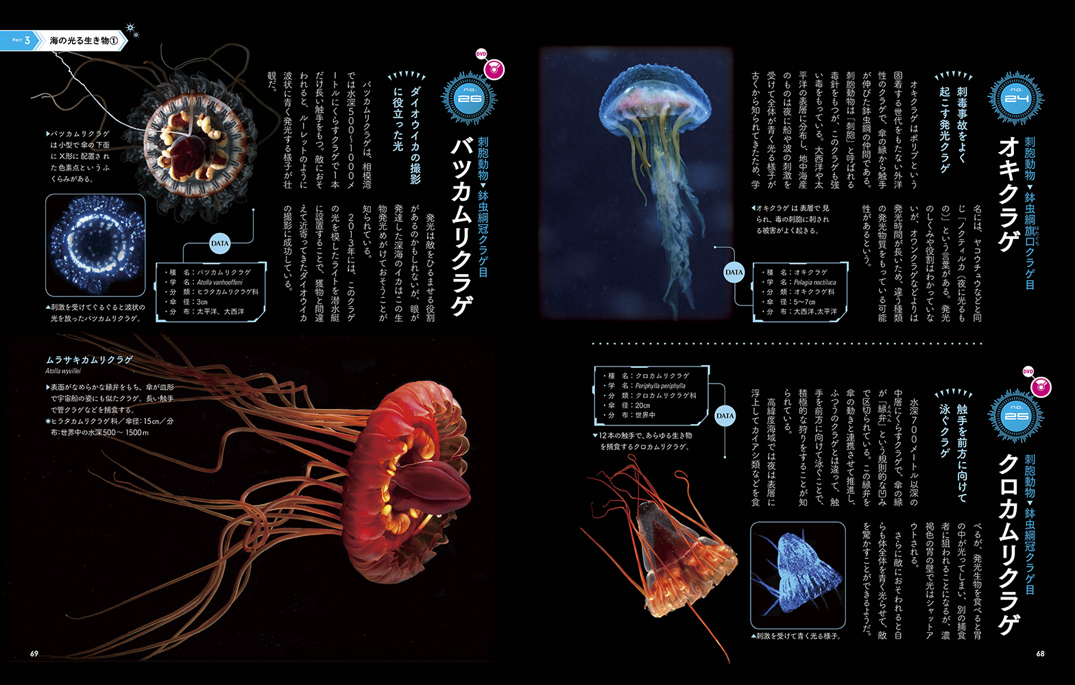 楽天ブックス 光る生き物 大場裕一 本