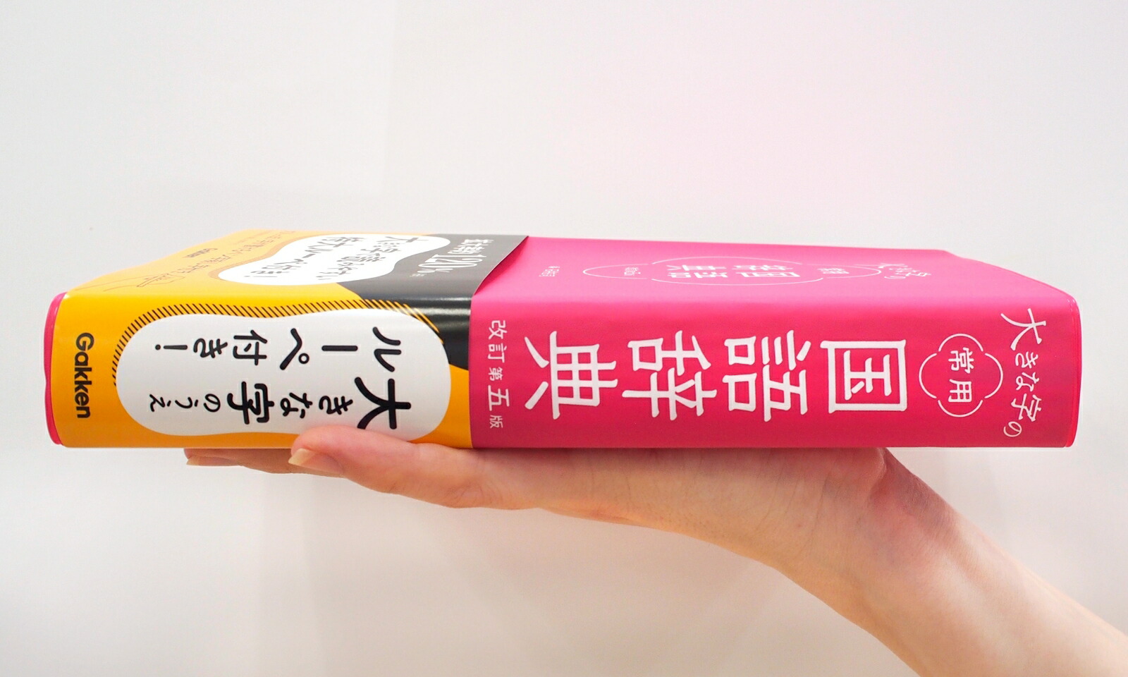 楽天ブックス 大きな字の常用国語辞典 改訂第五版 石井庄司 本