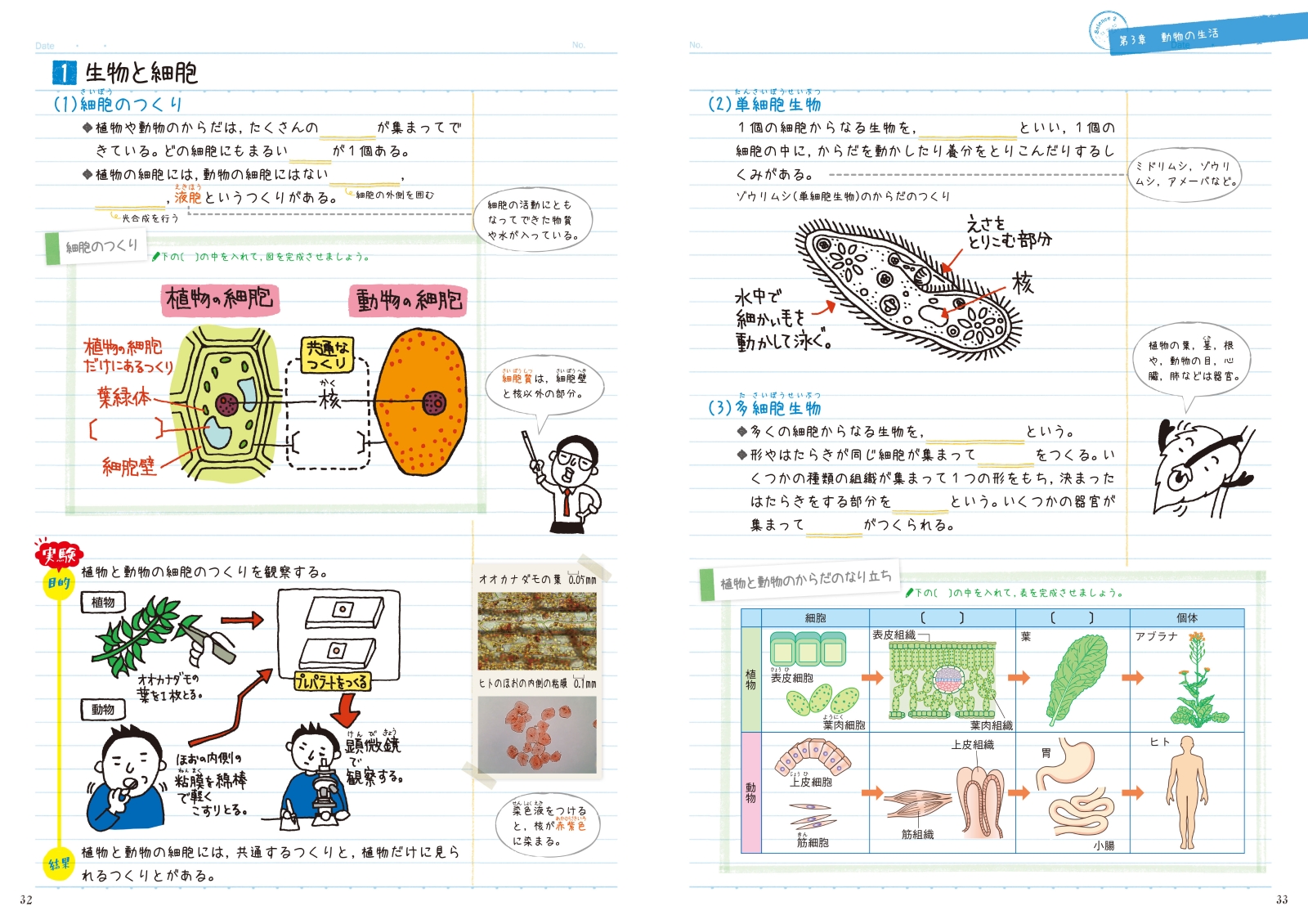 楽天ブックス テスト前にまとめるノート中2理科 学研教育出版 本