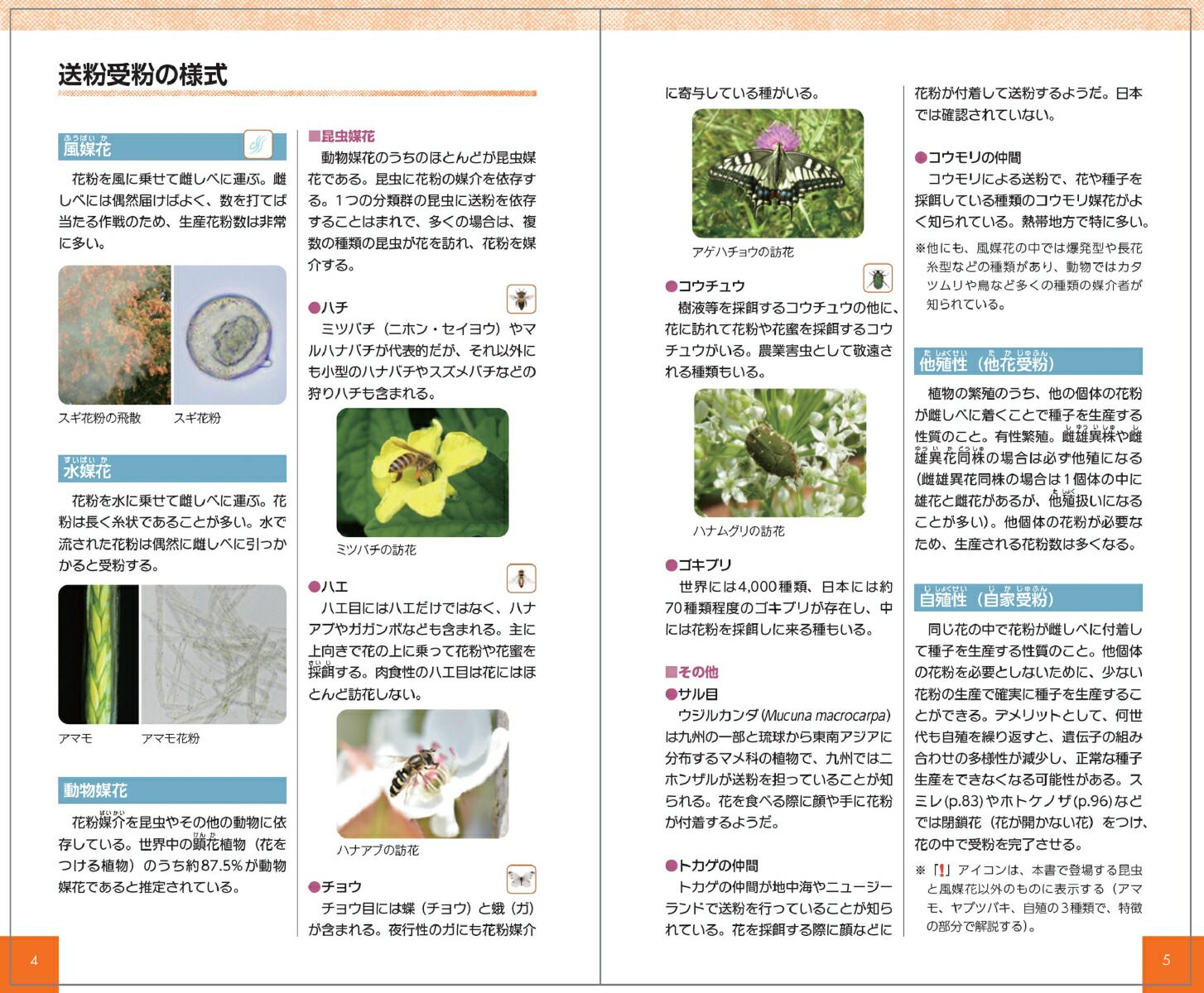 花粉ハンドブック[日下石碧]