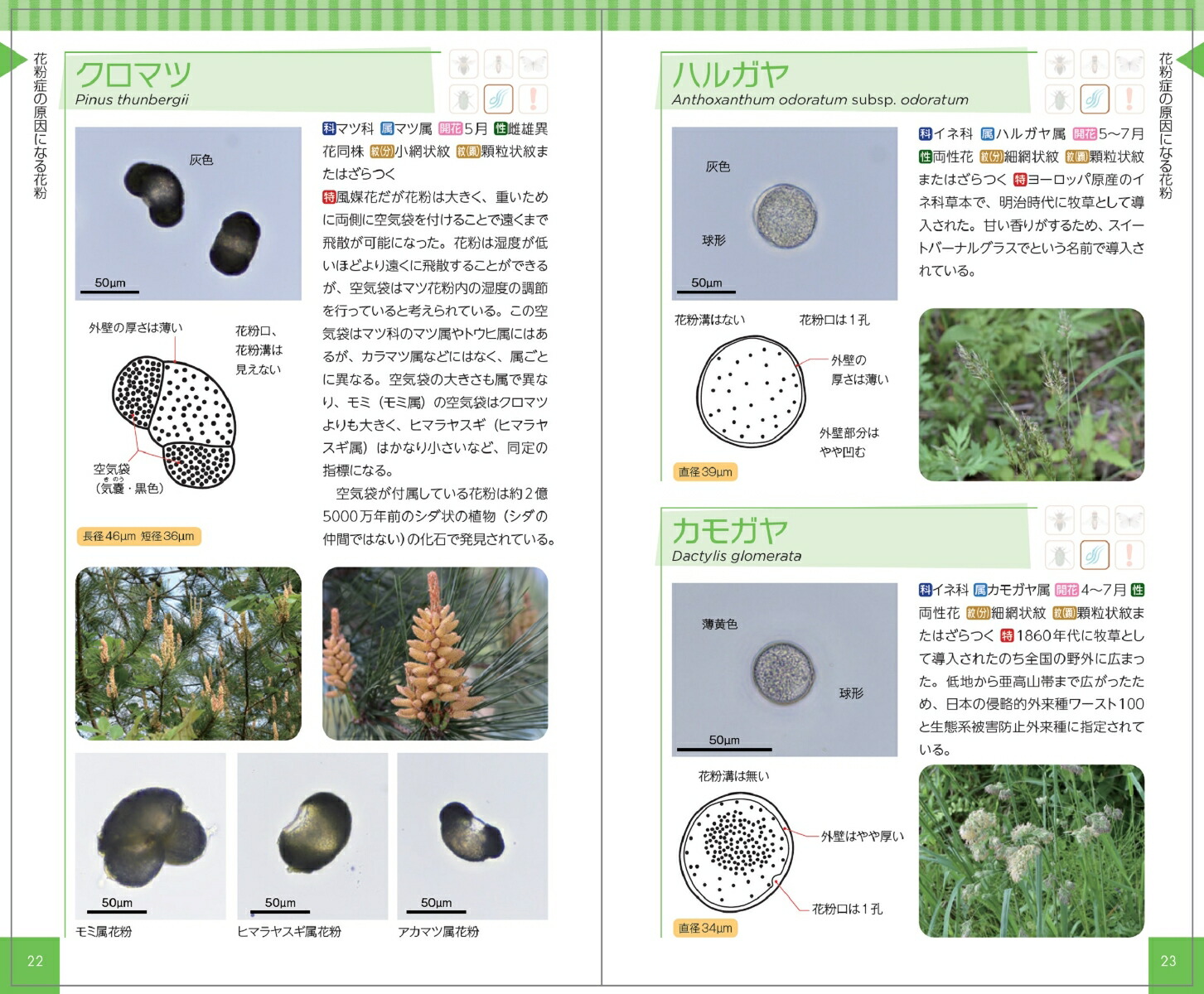花粉ハンドブック[日下石碧]
