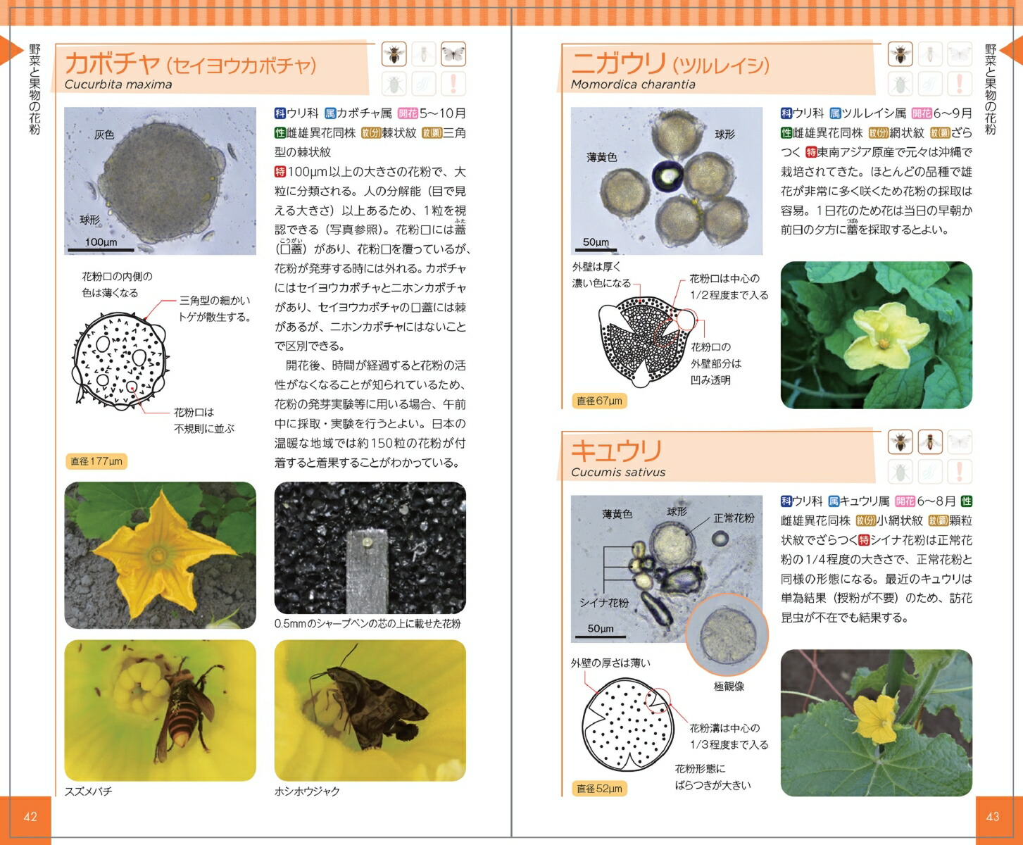 花粉ハンドブック[日下石碧]