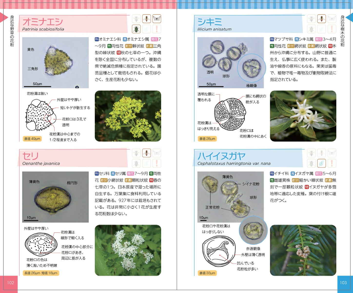 花粉ハンドブック[日下石碧]