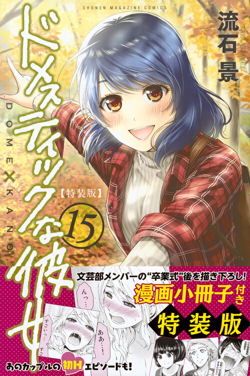 �ɥ᥹�ƥ��å��������15�������ǡʥץ�ߥ���KC��[ή�з�]