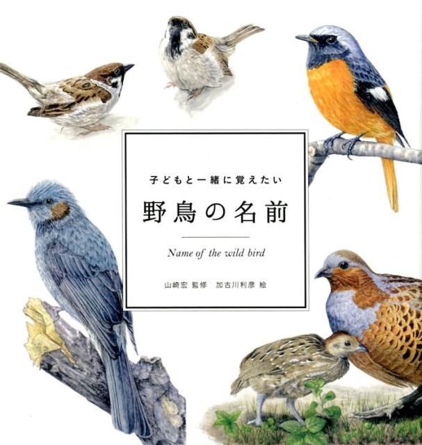 楽天ブックス: 子どもと一緒に覚えたい野鳥の名前 - 山崎宏（自然教育