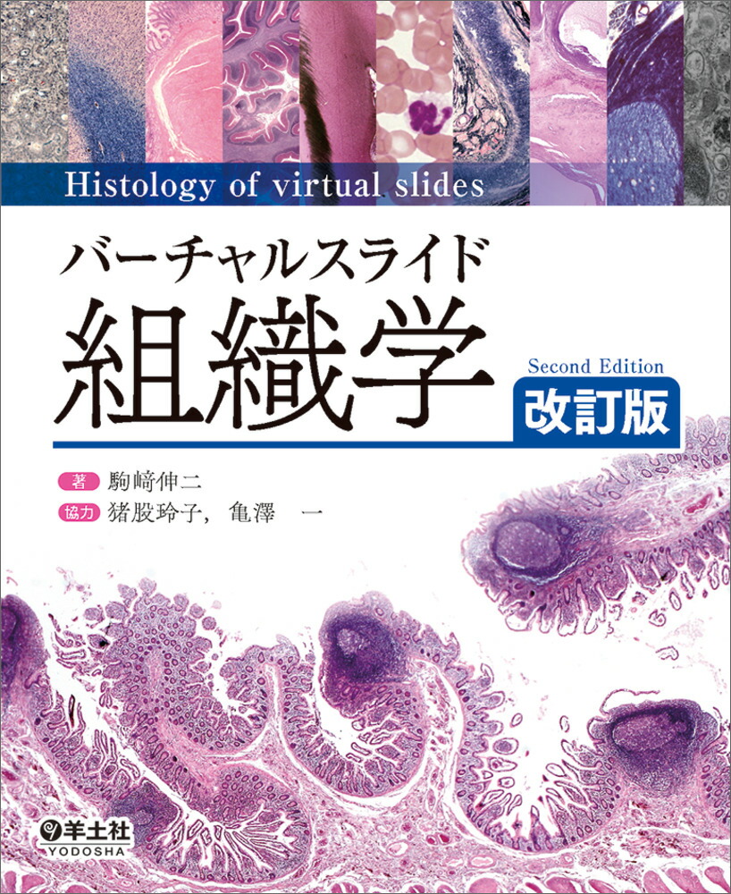 �С�����륹�饤���ȿ��ز�����[��꿭��]