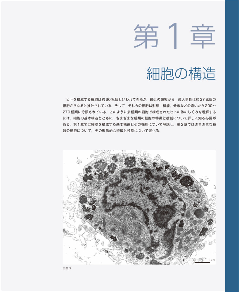 �С�����륹�饤���ȿ��ز�����[��꿭��]