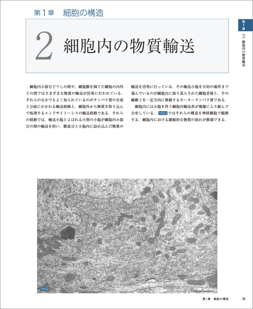 �С�����륹�饤���ȿ��ز�����[��꿭��]