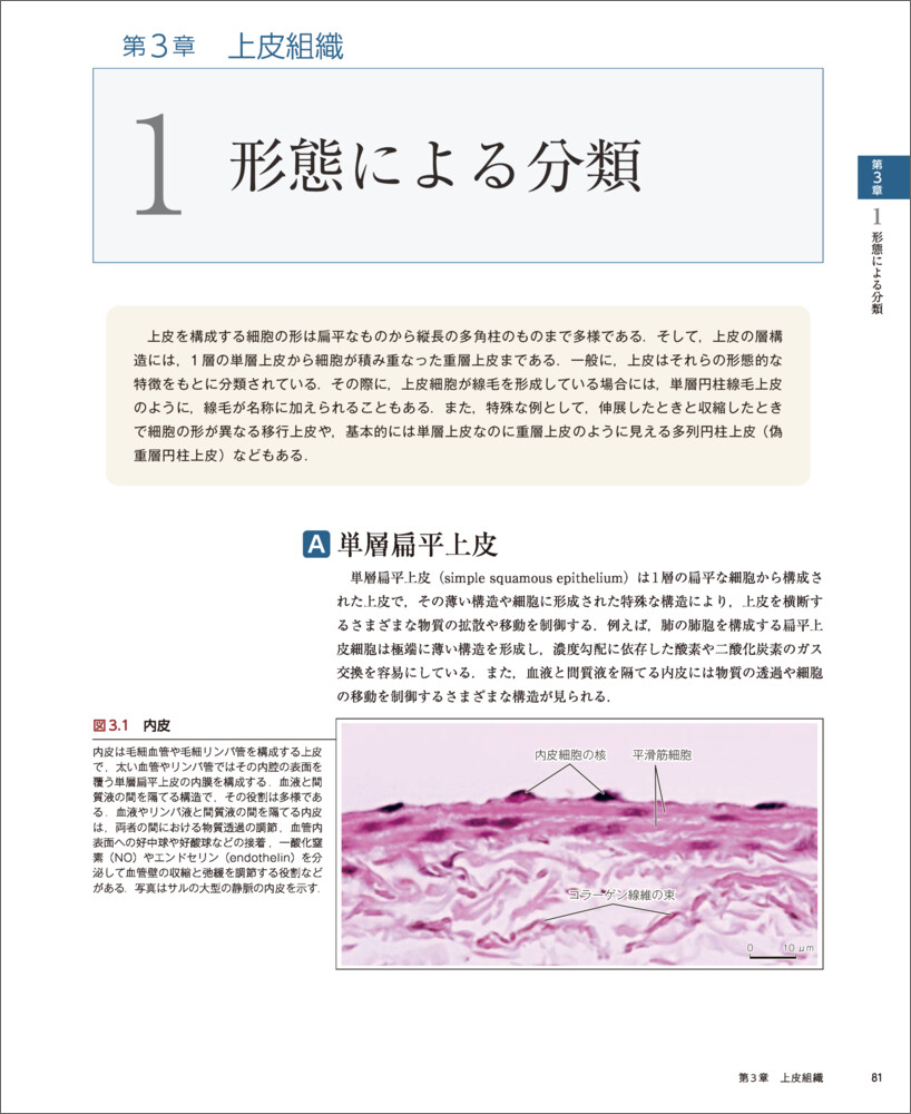 �С�����륹�饤���ȿ��ز�����[��꿭��]