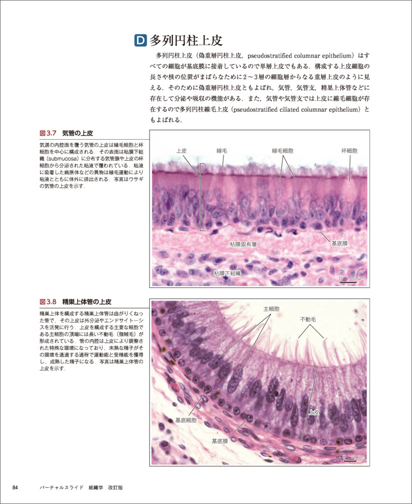 �С�����륹�饤���ȿ��ز�����[��꿭��]