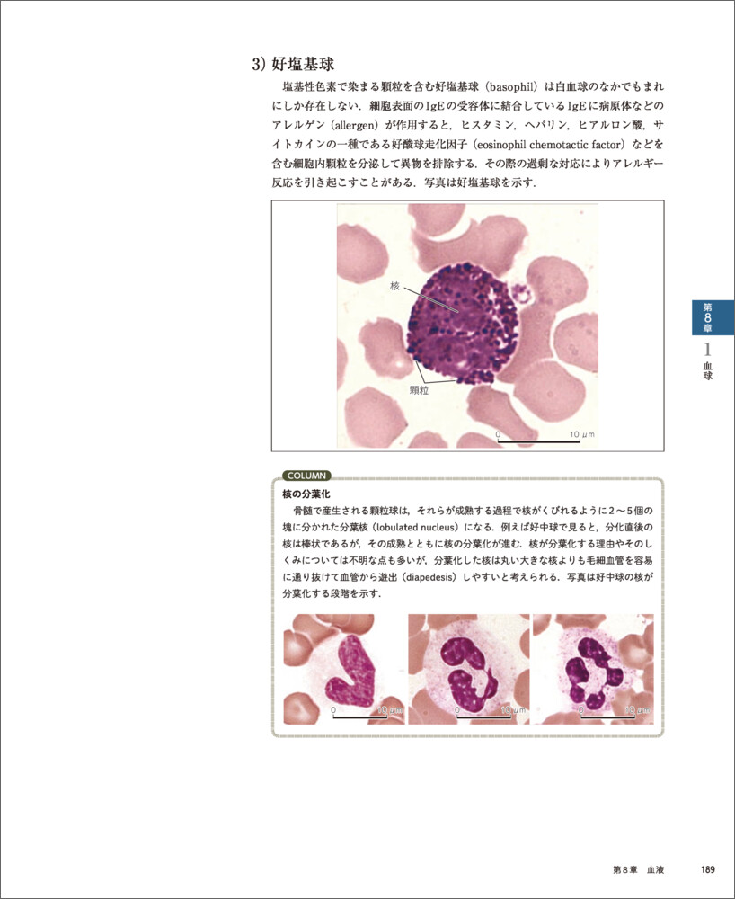 �С�����륹�饤���ȿ��ز�����[��꿭��]