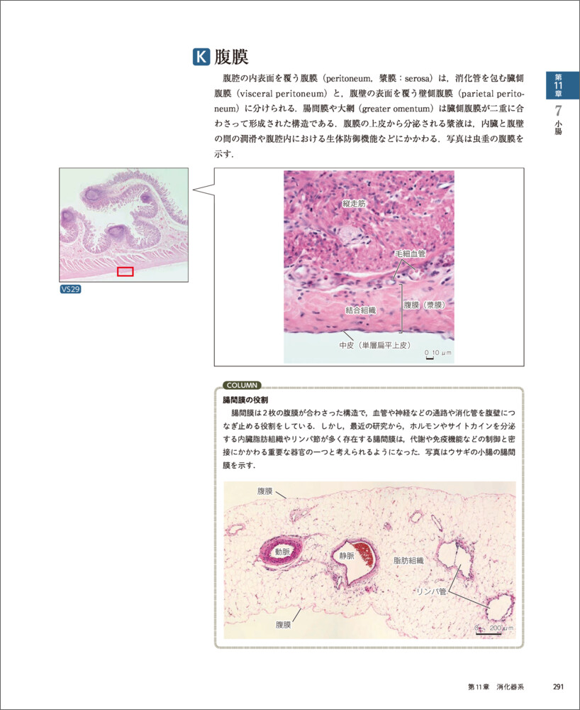 �С�����륹�饤���ȿ��ز�����[��꿭��]