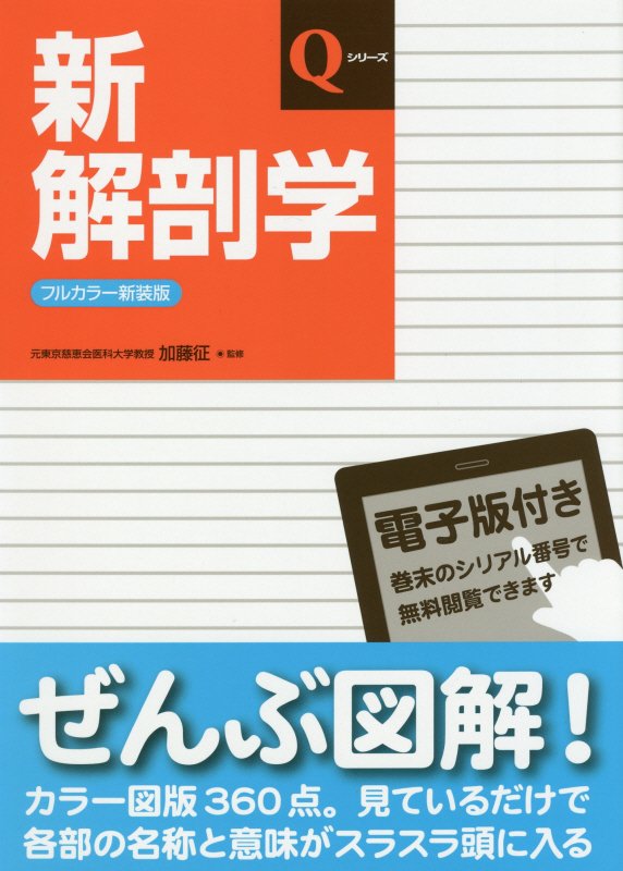 楽天市場】機能解剖学 functional anatomy［理学療法 ME316-S 全