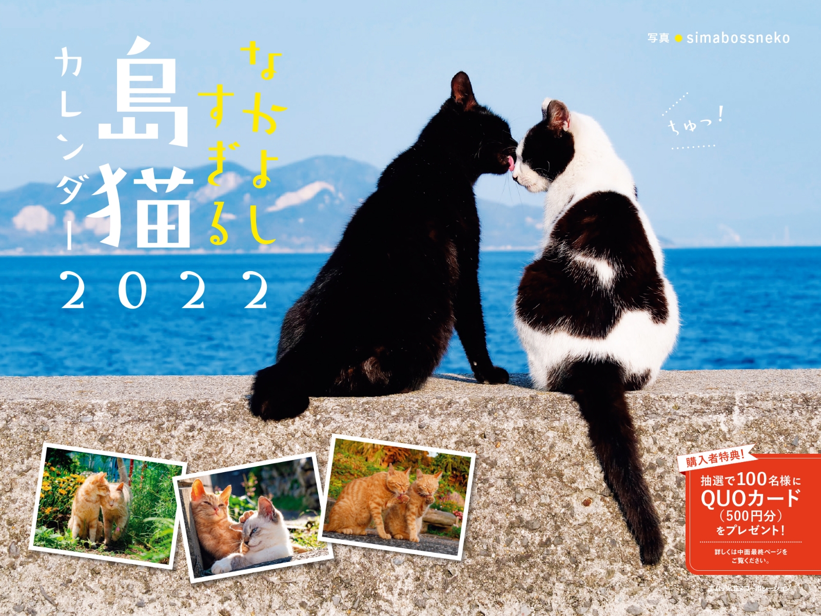 楽天ブックス なかよしすぎる島猫カレンダー 22 本