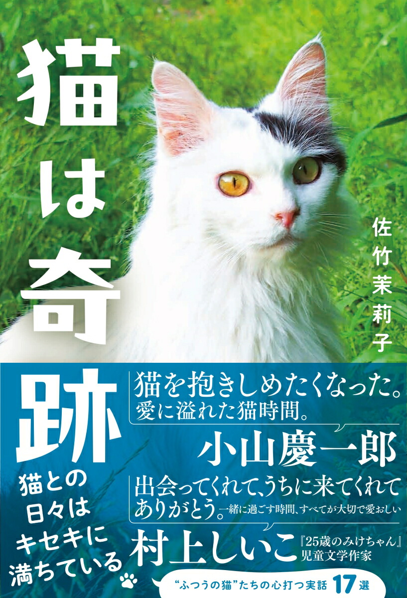 ǭϴ[轻]