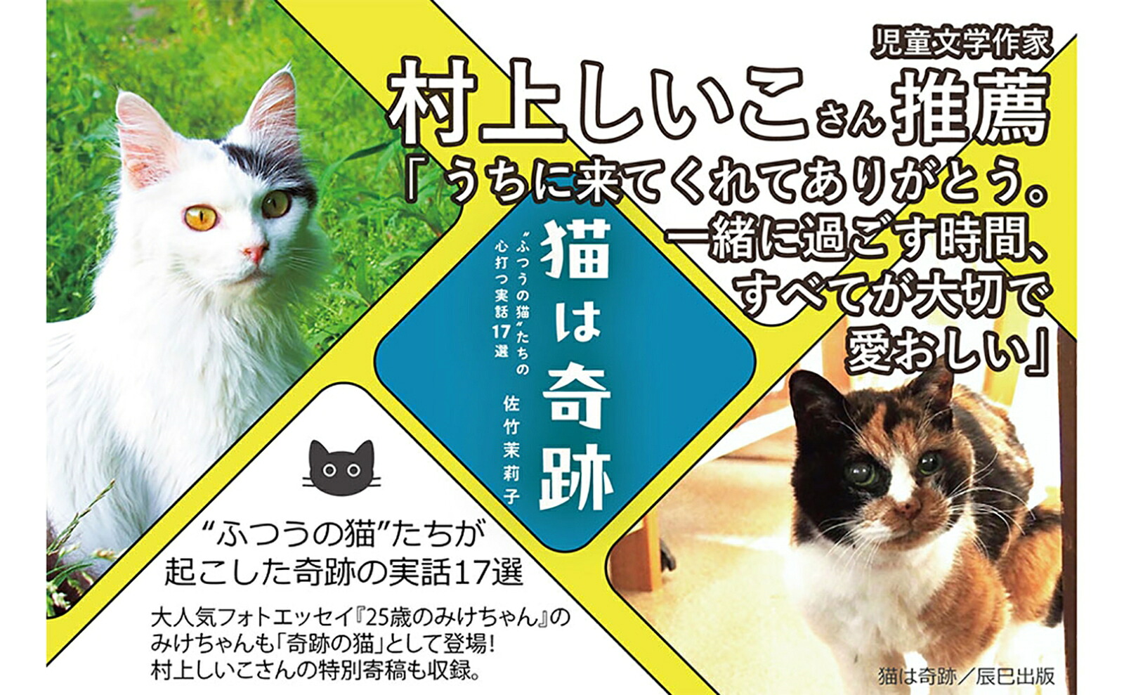 猫は奇跡[佐竹茉莉子]