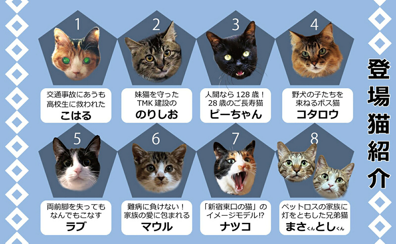 猫は奇跡[佐竹茉莉子]