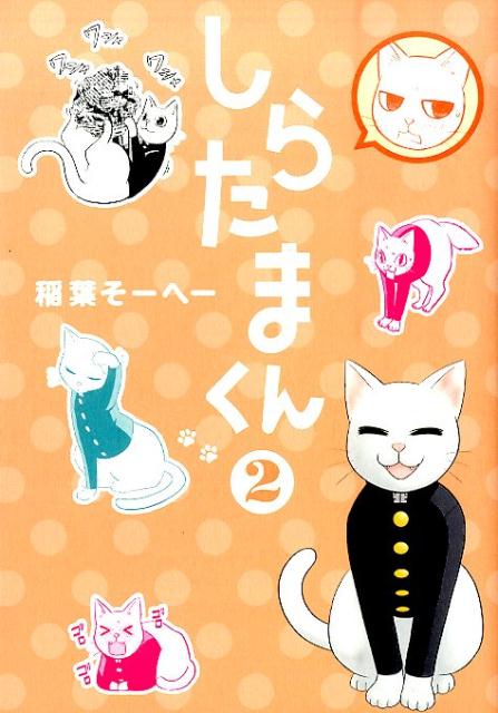 楽天ブックス しらたまくん 2 稲葉そーへー 本