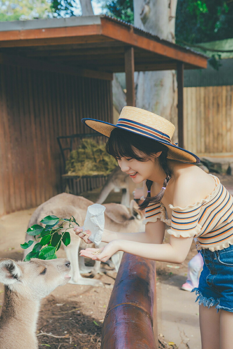 �������׼̿����ص��ޤޤˡ���[��������]