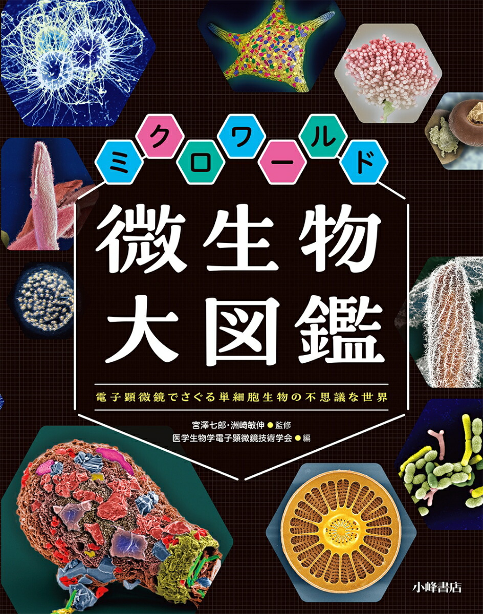 楽天ブックス: ミクロワールド微生物大図鑑 - 宮澤七郎