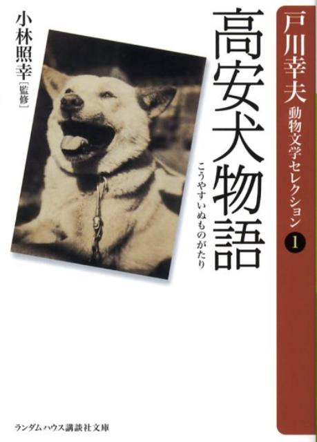 楽天ブックス 高安犬物語 戸川幸夫 本