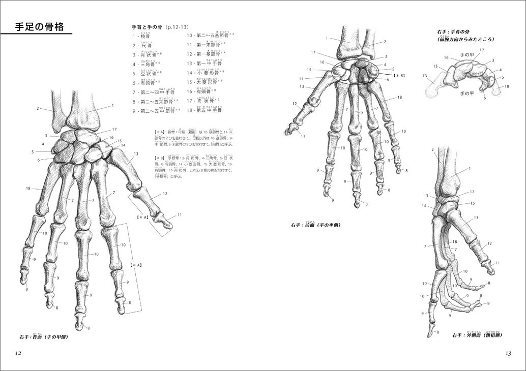 楽天ブックス 手と足の描き方 仕組みを知って上手くなる ジョヴァンニ チヴァルディ 本