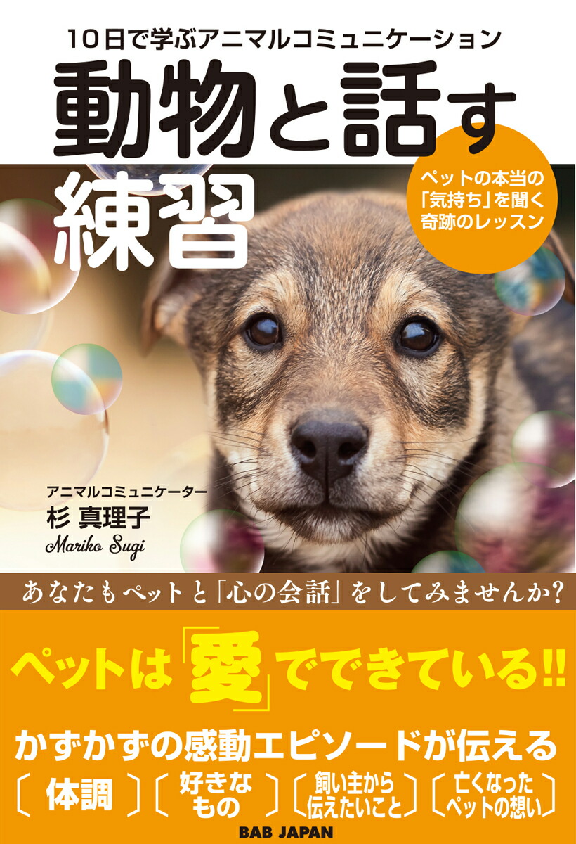 楽天ブックス 10日で学ぶアニマルコミュニケーション 動物と話す練習 ペットの本当の 気持ち を聞く奇跡のレッスン 杉真理子 本