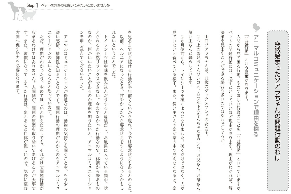楽天ブックス 10日で学ぶアニマルコミュニケーション 動物と話す練習 ペットの本当の 気持ち を聞く奇跡のレッスン 杉真理子 本