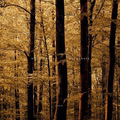 (初版 ) WOODLANDS: MAT HENNEK (洋書) 楽天ブックス: MAT HENNEK:WOODLANDS(H) - MAT HENNEK