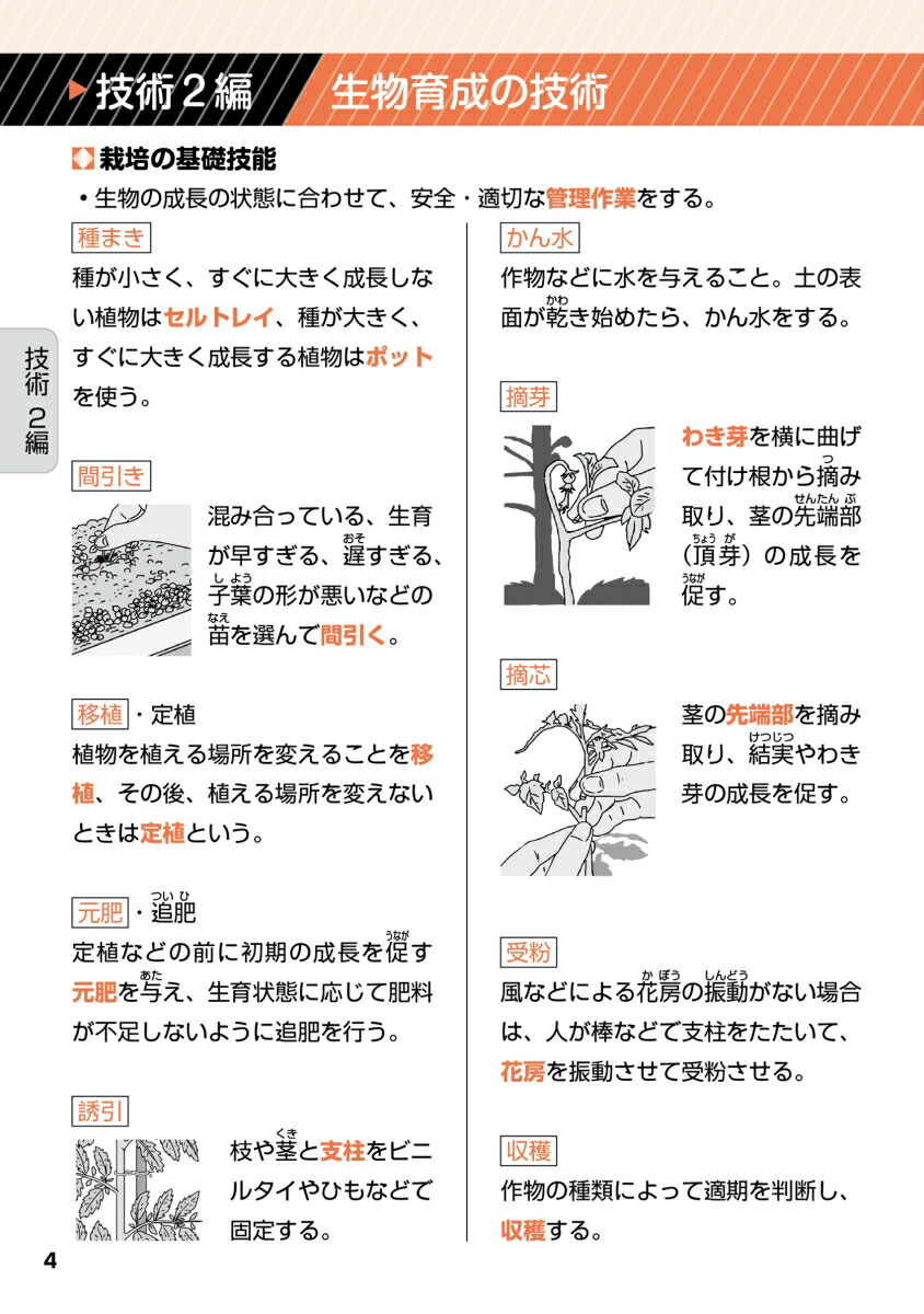 ƥȥХ褯Ǥصѡ13ǯʽǡʥ륫顼ؽġ4/֥ȡߡľåBOOK/뤳ȥåɽ/̵ޥۥץ