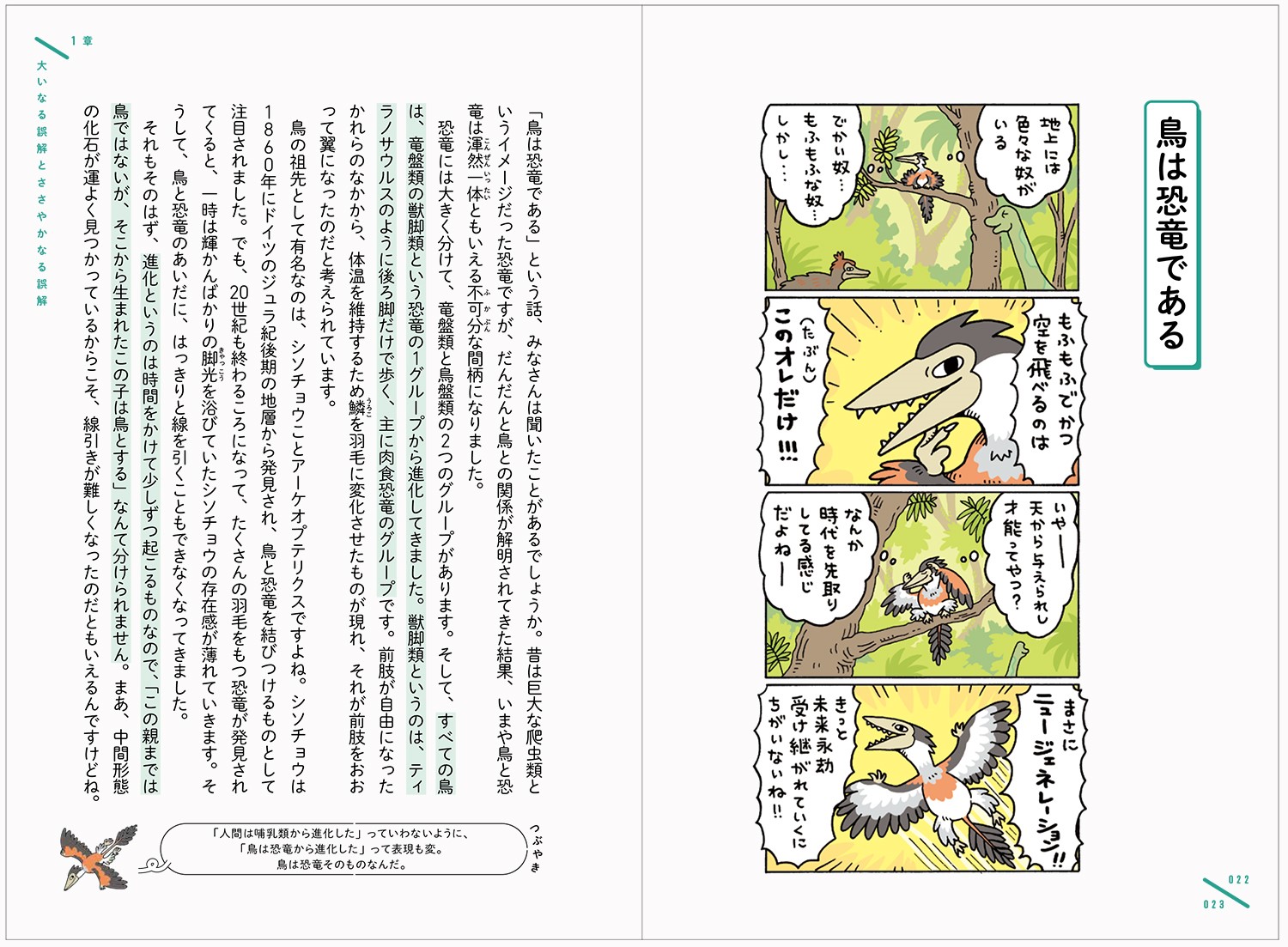 楽天ブックス 先着特典 いまさら恐竜入門 クリアファイル 田中康平 監修 本 楽天ブックス 先着特典 いまさら恐竜入門 クリアファイル 田中康平 監修 本