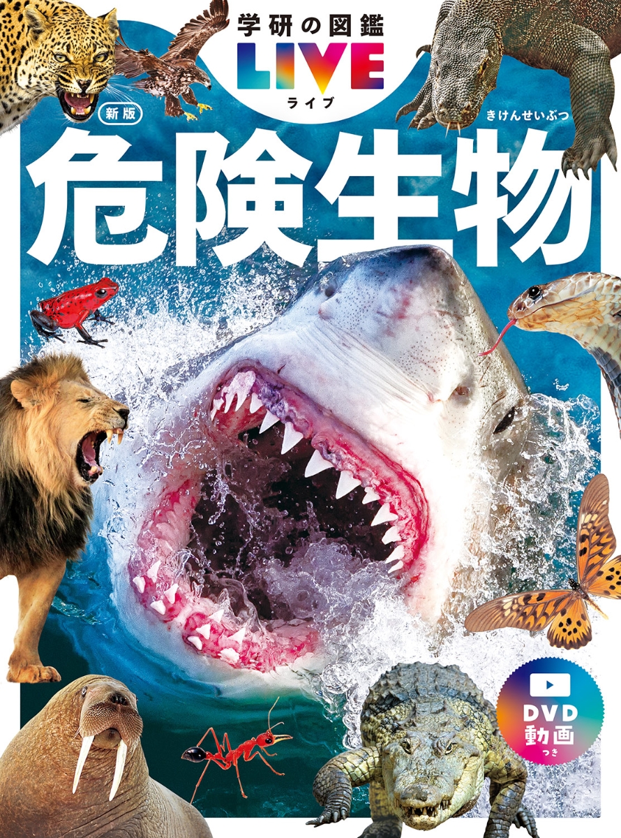 危険生物 hkt-