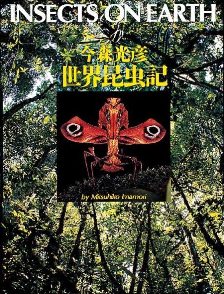 今森光彦世界昆虫記（写真記シリーズ）[今森光彦]
