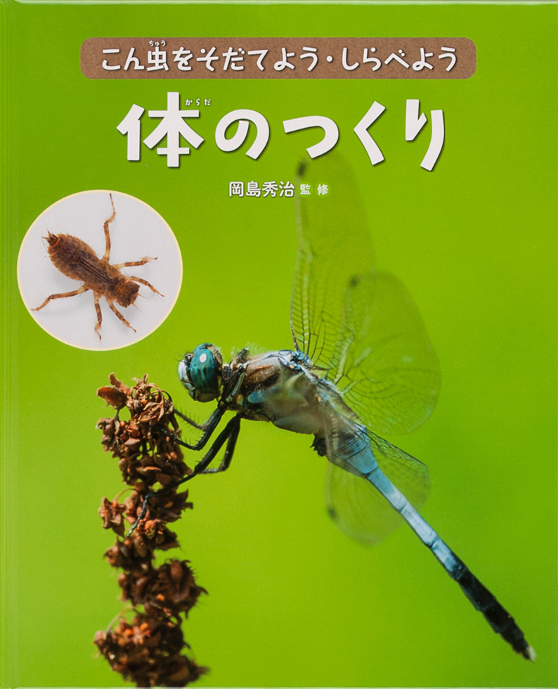 楽天ブックス 体のつくり 本