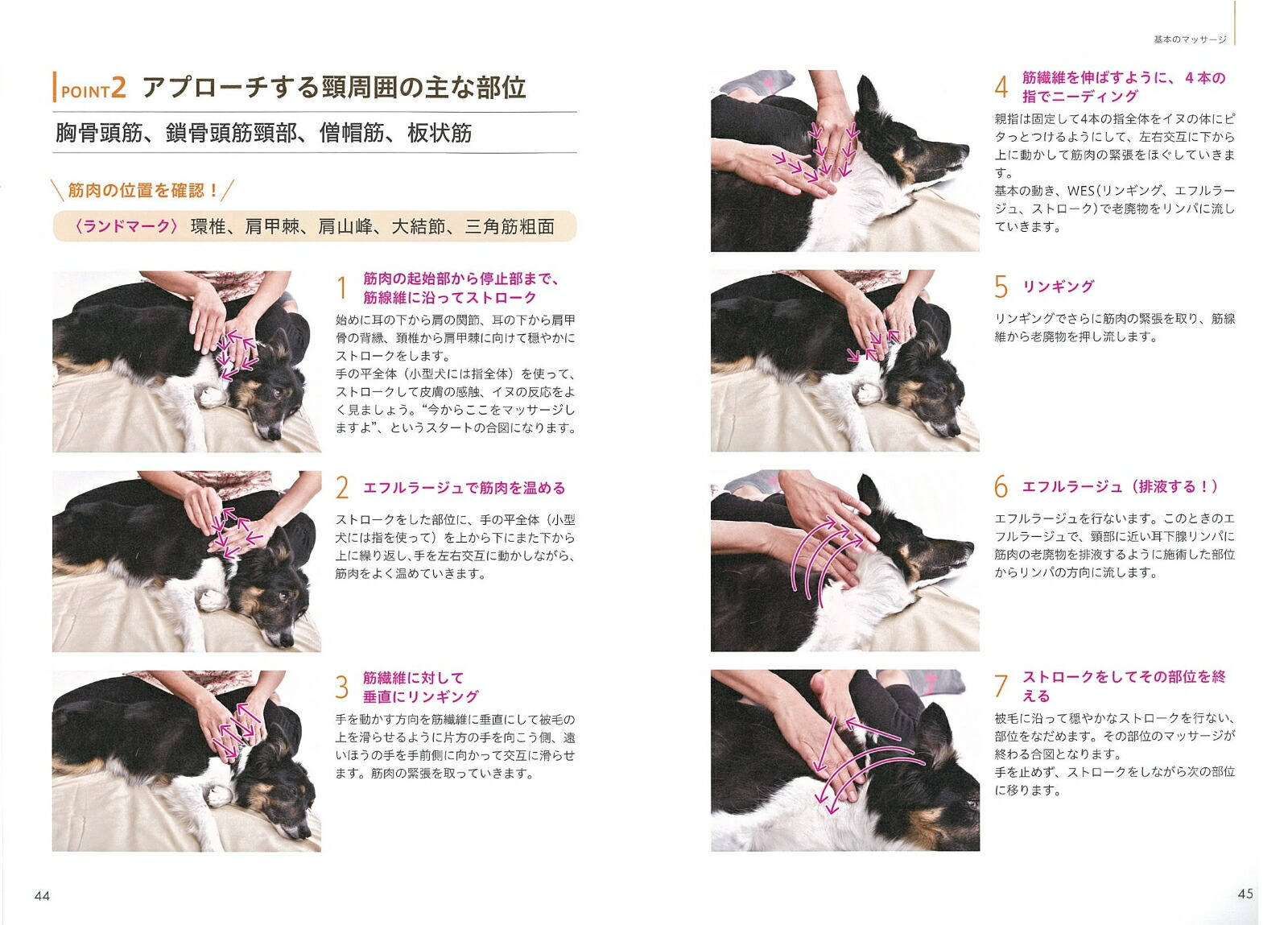 ɥåޥåƥ˥åBOOKΰǴܤѤޤ[Ĥꤳ]