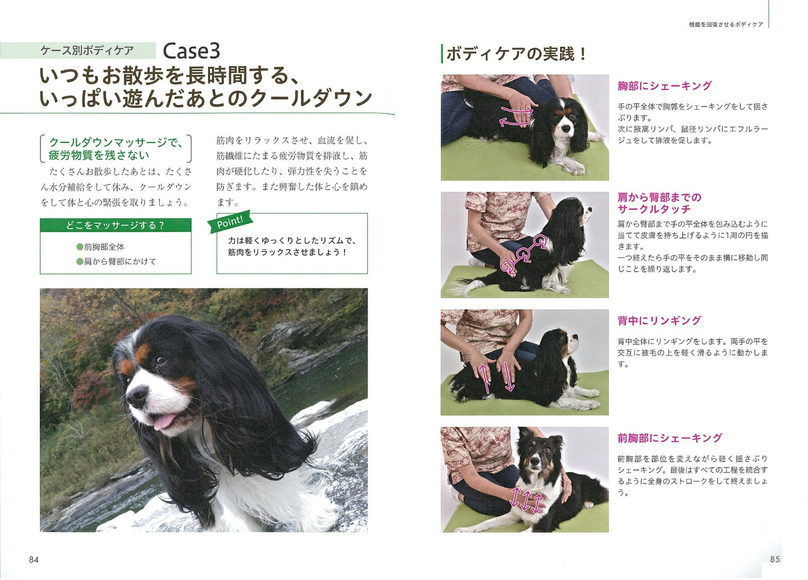 ɥåޥåƥ˥åBOOKΰǴܤѤޤ[Ĥꤳ]