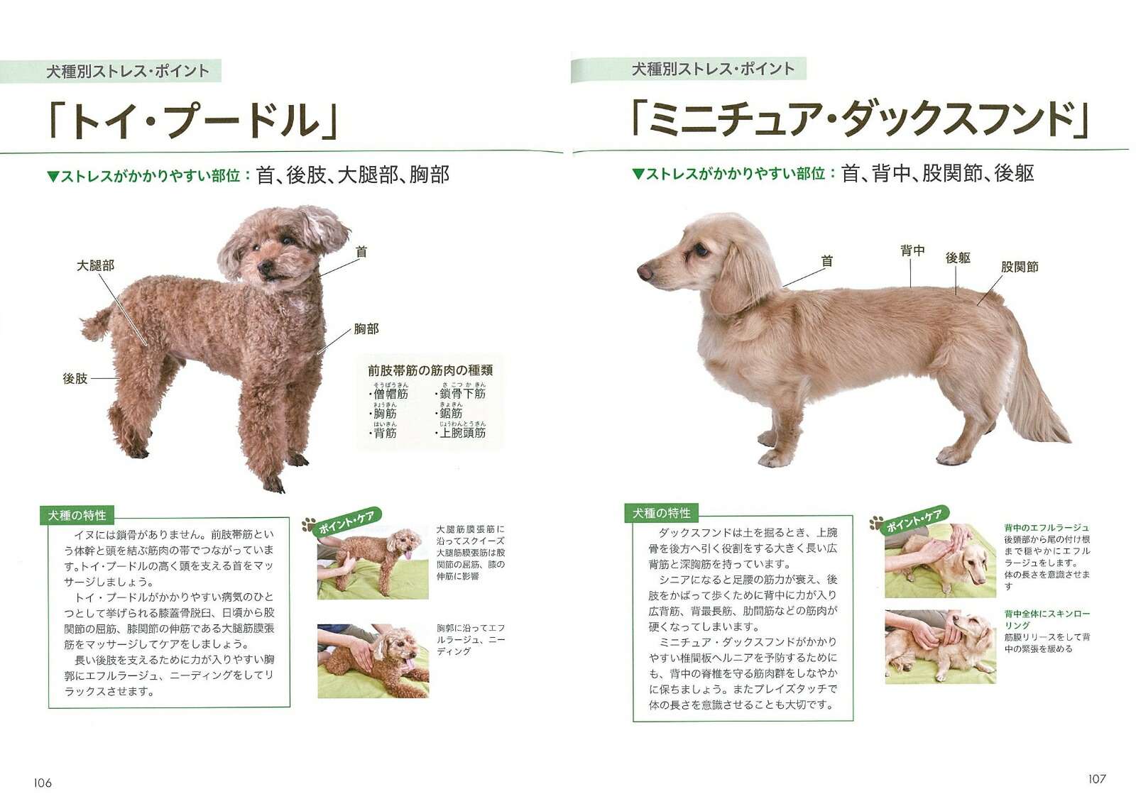 ɥåޥåƥ˥åBOOKΰǴܤѤޤ[Ĥꤳ]