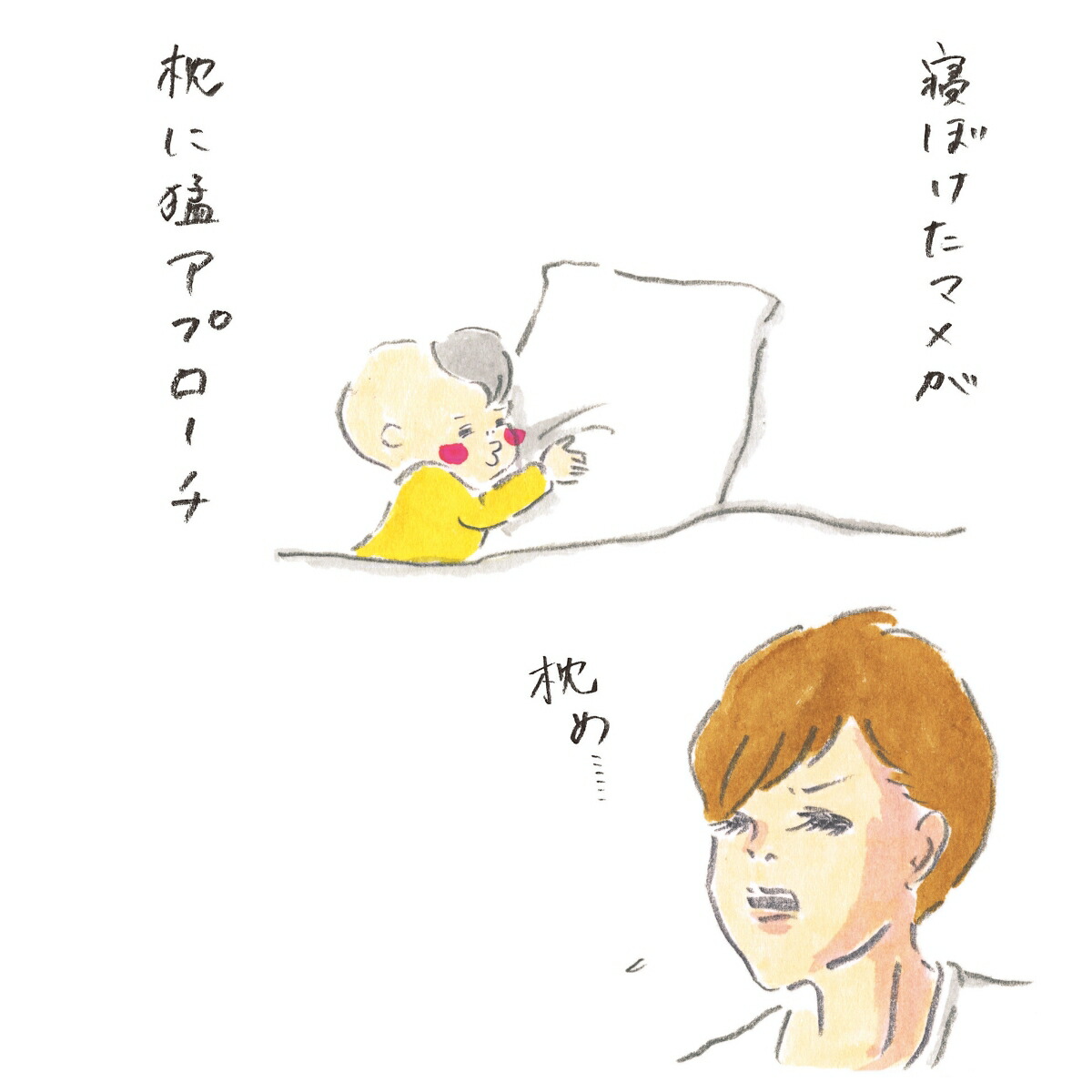 �ޤ�����[���������]