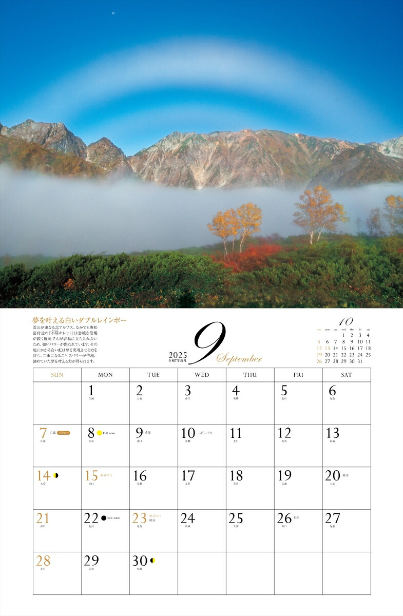 ����ͩ�ݥѥ���ݥåȥ���������2025�ˡʡΥ��������ϡ�