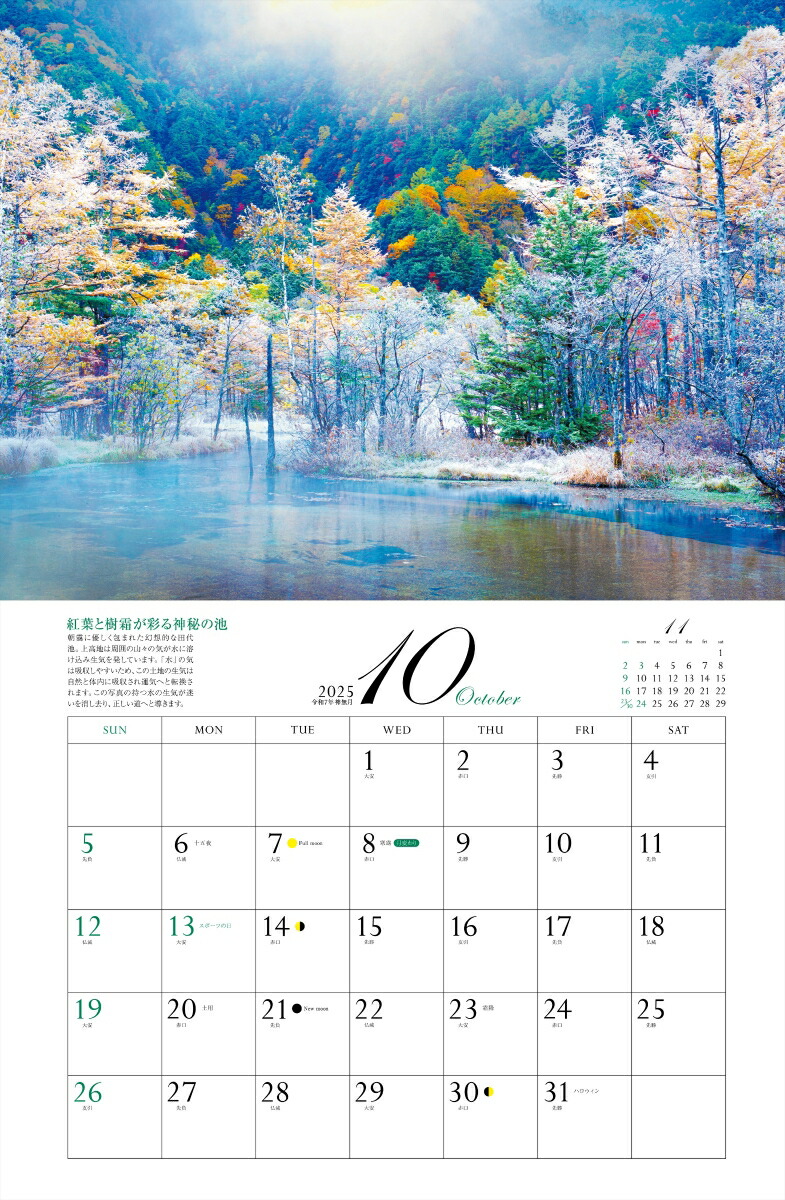 ����ͩ�ݥѥ���ݥåȥ���������2025�ˡʡΥ��������ϡ�