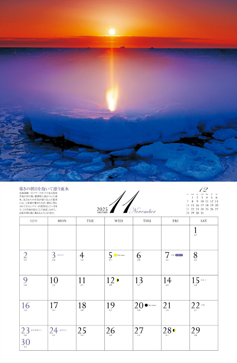 ����ͩ�ݥѥ���ݥåȥ���������2025�ˡʡΥ��������ϡ�